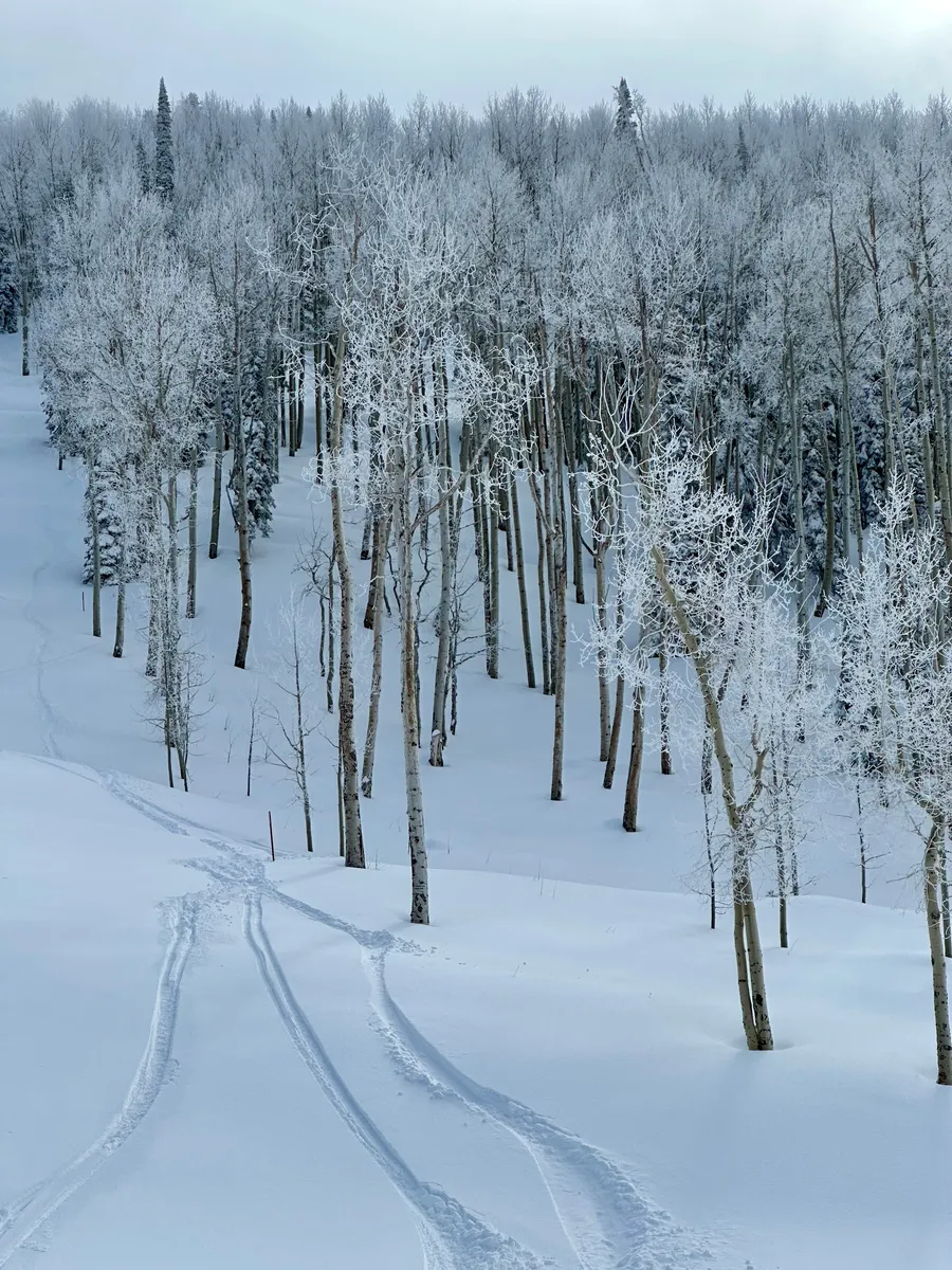 A powder day at Powderhorn Mountain Resort on the Grand Mesa, Colorado
